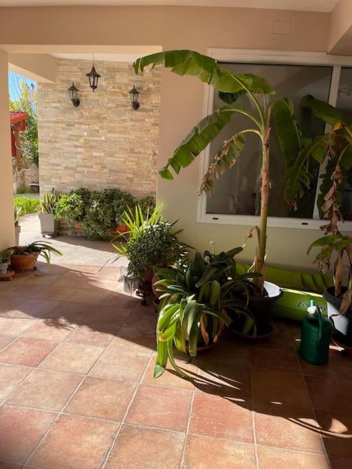 Sea View Studio Kirra Exterior photo